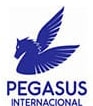 South North AMERICA Pegasus